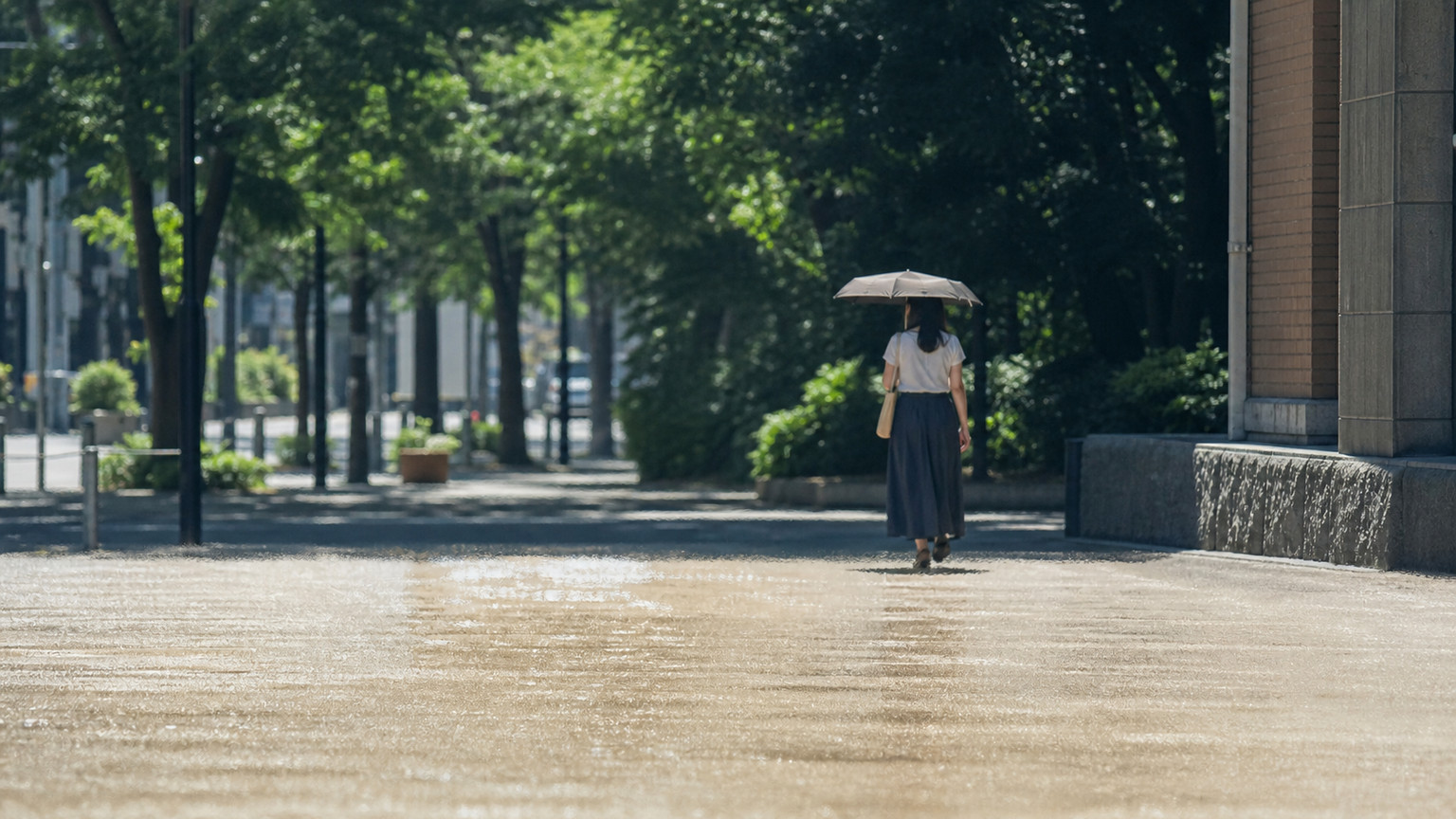強い日差しと陽炎の中、日傘を差して木陰へ向かう人